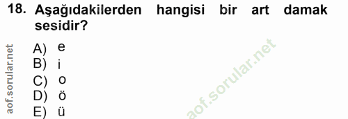 18. soru: Aşağıdakilerden hangisi bir art damak sesidir? A) e i l Ö E)