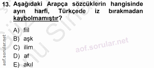 13. soru: Aşağıdaki Arapça sözcüklerin hangisinde ayın harfi, Türkçede iz bırakmadan kaybolmamıştır? A) fiil B) aşk C) ilim D)…