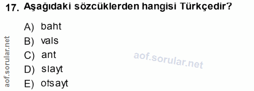 17. soru: Aşağıdaki sözcüklerden hangisi Türkçedir? A) baht rular.net B) vals C) ant aof.s D) slayt E) otsayt