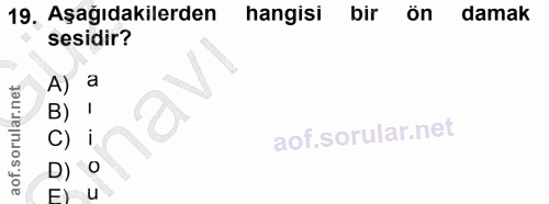 19. soru: Aşağıdakilerden hangisi bir ön damak sesidir? A) a 10 B) ' C) i D) O F u