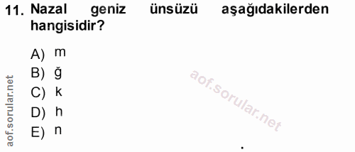 11. soru: Nazal geniz ünsüzü aşağıdakilerden hangisidir? A) m B) g C) K D) h E) n