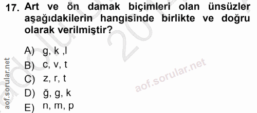 17. soru: Art ve ön damak biçimleri olan ünsüzler aşağıdakilerin hangisinde birlikte ve doğru olarak verilmiştir? A) g, k,l B)…