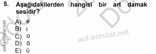 5. soru: Aşağıdakilerden hangisi bir art damak sesidir? A) O: O