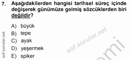 7. soru: Aşağıdakilerden hangisi tarihsel süreç içinde değişerek günümüze gelmiş sözcüklerden biri değildir? A) büyük B) tepe…