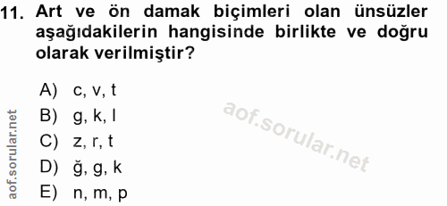 11. soru: Art ve ön damak biçimleri olan ünsüzler aşağıdakilerin hangisinde birlikte ve doğru olarak verilmiştir? A) c, V, t B)…