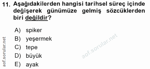 11. soru: Aşağıdakilerden hangisi tarihsel süreç içinde değişerek günümüze gelmiş sözcüklerden biri değildir? A) spiker B) yeşe…