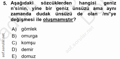 5. soru: Aşağıdaki sözcüklerden hangisi geniz n'sinin, yine bir geniz ünsüzü ama aynı zamanda dudak ünsüzü de olan /m/'ye deği…