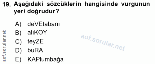19. soru: Aşağıdaki sözcüklerin hangisinde vurgunun yeri doğrudur? A) deVEtabanı B) alıKOY C) teyZE D) buRA E) KAPlumbağa