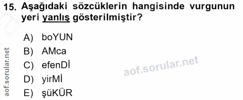15. soru: Aşağıdaki sözcüklerin hangisinde vurgunun yeri yanlış gösterilmiştir? A) boYUN B) AMca C) efenDi D) yirMI E) şüKÜR