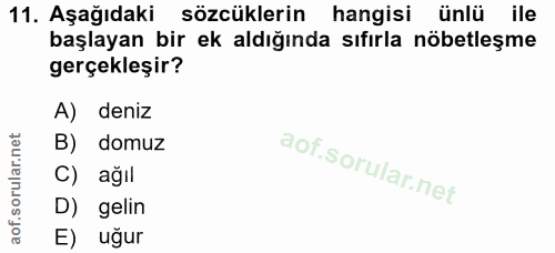 11. soru: Aşağıdaki sözcüklerin hangisi ünlü ile başlayan bir ek aldığında sıfırla nöbetleşme gerçekleşir? A) deniz B) domuz C)…