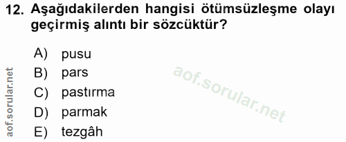 12. soru: Aşağıdakilerden hangisi ötümüzleşme olayı geçirmiş alıntı bir sözcüktür? A) pusu B) pars C) pastırma D) parmak E) tezgâh