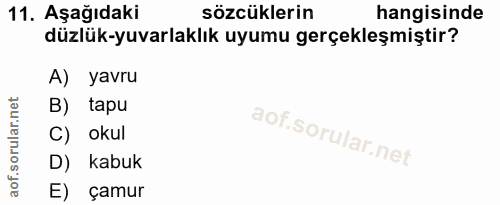11. soru: Aşağıdaki sözcüklerin hangisinde düzlük-yuvarlaklık uyumu gerçekleşmiştir? A) yavru B) tapu C) okul D) kabuk E) çamur