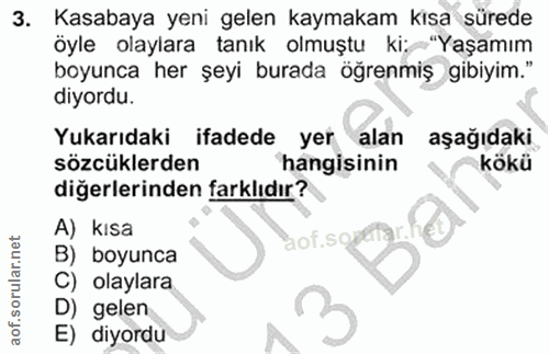 3. soru: Kasabaya yeni gelen kaymakam kisa sürede öyle olaylara tanık olmuştu ki: "Yaşamım boyunca her şeyi burada öğrenmiş gi…