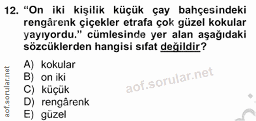 12. soru: "On iki kişilik küçük çay bahçesindeki rengârenk çiçekler etrafa çok güzel kokular yayıyordu." cümlesinde yer alan aş…