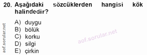 20. soru: Aşağıdaki sözcüklerden hangisi kök halindedir? A) duygu B) bölük C) korku D) silgi E) çirkin