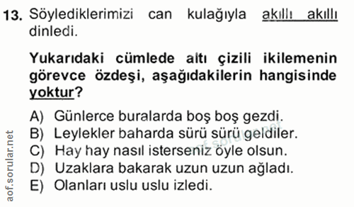 13. soru: Söylediklerimizi can kulağıyla akıllı akıllı dinledi. Yukarıdaki cümlede altı çizili ikilemenin görevce özdeşi, aşağı…
