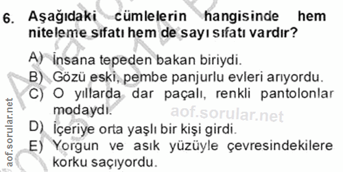 6. soru: Aşağıdaki cümlelerin hangisinde hem niteleme sıfatı hem de sayı sıfatı vardır? A) İnsana tepeden bakan biriydi. B) Gö…