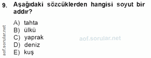 9. soru: Aşağıdaki sözcüklerden hangisi soyut bir addır? A) tahta B) ülkü C) yaprak D) deniz E) kuş