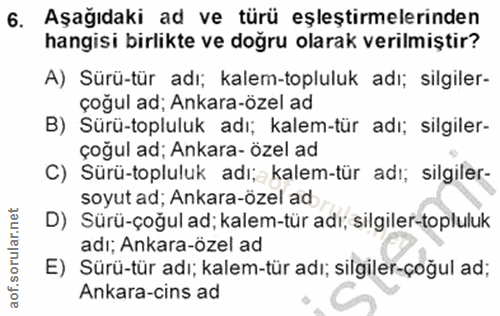 6. soru: Aşağıdaki ad ve türü eşleştirmelerinden hangisi birlikte ve doğru olarak verilmiştir? A) Sürü-tür adı; kalem-topluluk…