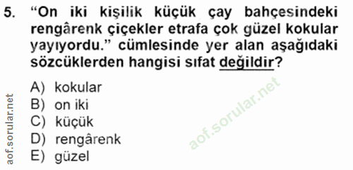 5. soru: "On iki kişilik küçük çay bahçesindeki rengârenk çiçekler etrafa çok güzel kokular yayıyordu." cümlesinde yer alan aş…