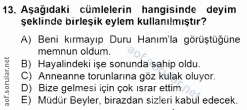 13. soru: Aşağıdaki cümlelerin hangisinde deyim şeklinde birleşik eylem kullanılmıştır? A) Beni kırmayıp Duru Hanım'la görüştüğ…