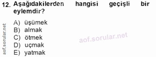 12. soru: Aşağıdakilerden hangisi geçişli bir eylemdir? A) üşümek B) almak C) ötmek D) uçmak E) yatmak