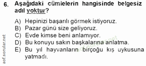 6. soru: Aşağıdaki cümlelerin hangisinde belgesiz adıl yoktur? A) Hepinizi başarılı görmek istiyoruz. B) Pazar günü size geliy…