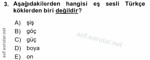 3. soru: Aşağıdakilerden hangisi eş sesli Türkçe köklerden biri değildir? A) șiş B) göç C) güç D) boya E) on