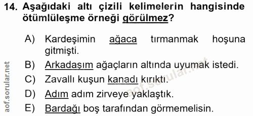 14. soru: Aşağıdaki altı çizili kelimelerin hangisinde ötümlüleşme örneği görülmez? A) Kardeşimin ağaca tırmanmak hoşuna gitmiș…