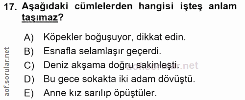17. soru: Aşağıdaki cümlelerden hangisi işteş anlam taşımaz? A) Köpekler boğuşuyor, dikkat edin. B) Esnafla selamlaşır geçerdi.…