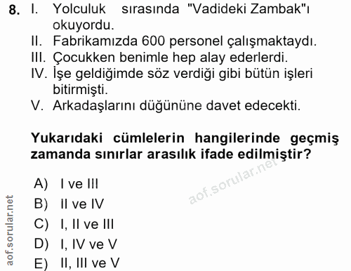 8. soru: I. Yolculuk sırasında "Vadideki Zambak"ı okuyordu. II. Fabrikamızda 600 personel çalışmaktaydı. IlI. Çocukken benimle…
