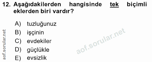 12. soru: Aşağıdakilerden hangisinde tek biçimli eklerden biri vardır? A) tuzluğunuz B) işçinin C) evdekiler D) güçlükle E) evs…