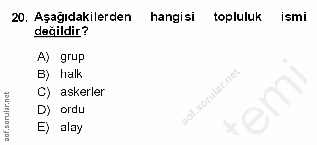 20. soru: Aşağıdakilerden hangisi topluluk ismi değildir? A) grup B) halk C) askerler D) ordu E) alay