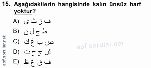 15. soru: Aşağıdakilerin hangisinde kalın ünsüz harf yoktur? A) ف ز ت ى B) ط ج ل ن C) ش ج خ ت (D ف ق غ ظ (E