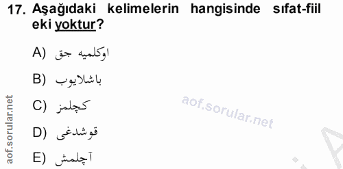 17. soru: Aşağıdaki kelimelerin hangisinde sıfat-fiil eki yoktur? اوكلميه جق (A باشلايوب (B كجلمز (C D) Sehi ge E) inata l
