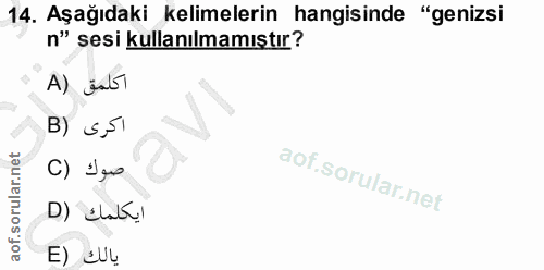 14. soru: Aşağıdaki kelimelerin hangisinde "genizsi n" sesi kullanılmamıştır? A) ja5t B) s,51 C) Igo ايكلمك (D E)