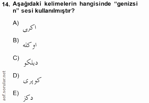 14. soru: Aşağıdaki kelimelerin hangisinde "genizsi n" sesi kullanılmıştır? A) B) 15 g1 C) D) E)