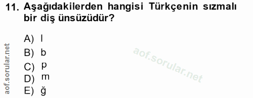11. soru: Aşağıdakilerden hangisi Türkçenin sızmalı bir diş ünsüzüdür? A) I B) b C) P D) m E) ğ