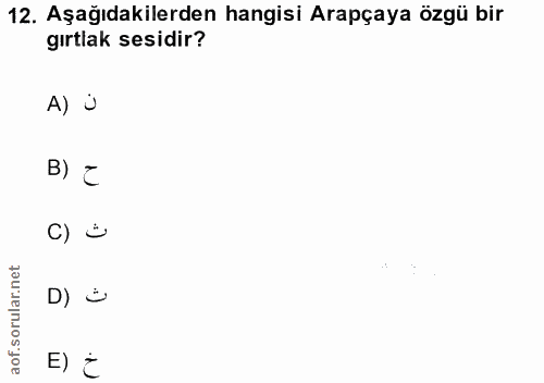12. soru: Aşağıdakilerden hangisi Arapçaya özgü bir gırtlak sesidir? A) i B) E C) ś D) $ E) ¿
