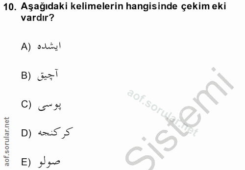 10. soru: Aşağıdaki kelimelerin hangisinde çekim eki vardır? ايشده (A آحيق (B () 5 % D) aris,5 cis E) Jeo