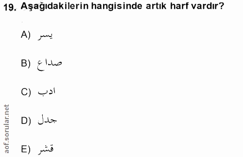 19. soru: Aşağıdakilerin hangisinde artık harf vardır? A) Ju B) ¿lo C) _› D) Jeo E) ris