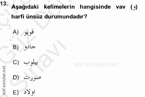13. soru: Aşağıdaki kelimelerin hangisinde vav (9) harfi ünsüz durumundadır? قويو (A B) gola () V alu D) ºj E) > > g|