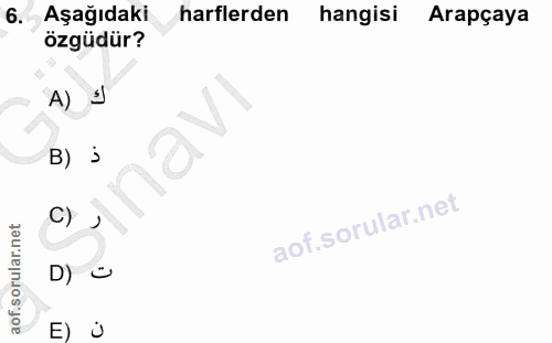 6. soru: Aşağıdaki harflerden hangisi Arapçaya özgüdür? A) B) > E) Ü