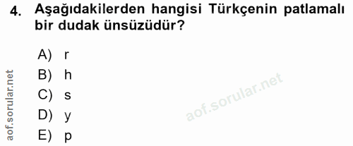 4. soru: Aşağıdakilerden hangisi Türkçenin patlamalı bir dudak ünsüzüdür? A) r B) h C) s D) У E) p