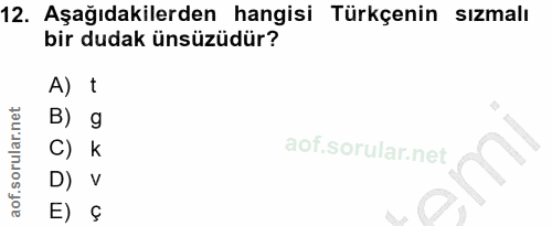 12. soru: Aşağıdakilerden hangisi Türkçenin sızmalı bir dudak ünsüzüdür? A) t B) g C) k D) V E) §