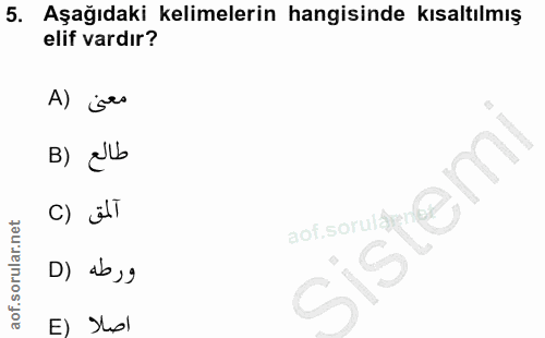 5. soru: Aşağıdaki kelimelerin hangisinde kısaltılmış elif vardır? A) jes B) alb c) älT sistem , g اصلا (E