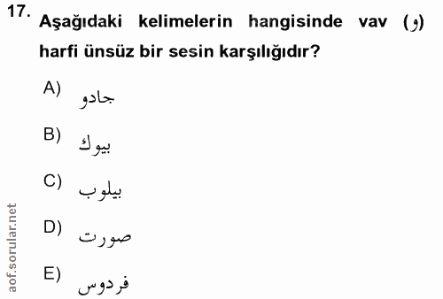 17. soru: Aşağıdaki kelimelerin hangisinde vav () harfi ünsüz bir sesin karşılığıdır? A) جادو B) بيوك C) بيلوب D) صورت E) مردوس
