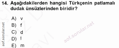 14. soru: Aşağıdakilerden hangisi Türkçenin patlamalı dudak ünsüzlerinden biridir? A) V B) f C) d D) 1 E) m