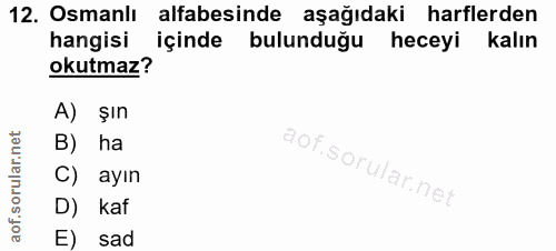 12. soru: Osmanlı alfabesinde aşağıdaki harflerden hangisi içinde bulunduğu heceyi kalın okutmaz? A) şın B) ha ayın D) kaf E) sad