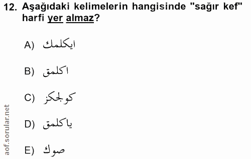 12. soru: Aşağıdaki kelimelerin hangisinde "sağır kef" harfi yer almaz? ايكلمك (A B) jal5l كولجكز (C D) jab u E) I go